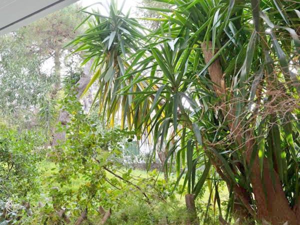Apartamento Vouliagmeni'S Secret Garden Near The Sea Atenas Exterior foto