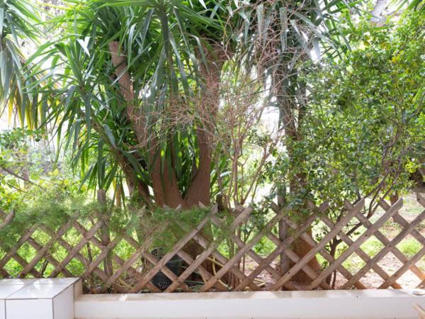 Apartamento Vouliagmeni'S Secret Garden Near The Sea Atenas Exterior foto